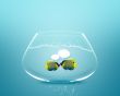 angelfish faces as social network with speech bubbles.
