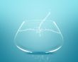 Empty fishbowl