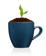 flower in clay pot 