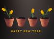 Happy new year 2012