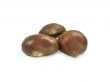 chestnuts 