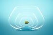 fish bowl