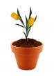 flower in clay pot 