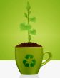 Young plant growing in green mug
