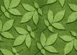 ecology concept