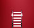 slim fork 