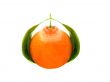 Fresh Orange