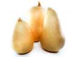 butternut squash