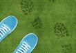 Shoe print on green grassland