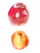 red apple