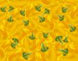 Fresh bell pepper