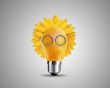 light bulb concept