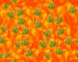 Fresh bell pepper