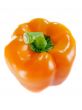 Orange bell pepper 