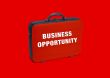 Business  case 