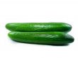 Fresh Cucumber