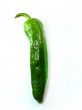 green pepper