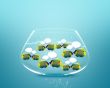 angelfish faces as social network with speech bubbles.