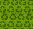 Ecological awareness concept