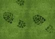 Shoe print on green grassland