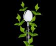 green leaves around spoon 