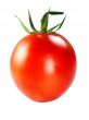 Fresh Red tomatoes