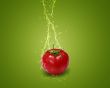 Fresh red tomato