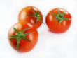 Red tomatoes