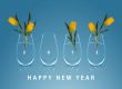 Happy new year 2012