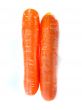 fresh orange carrot