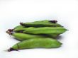broad beans