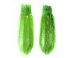 fresh zucchini