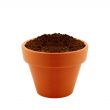 clay pot with Soil