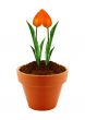 flower in clay pot 