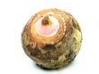 Taro Root 