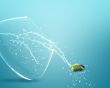 angelfish jumping out of  fishbowl