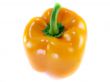 Orange bell pepper 