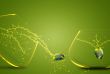angelfish jumping out of  fishbowl
