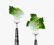 Lettuce pierced by fork,  isolated on white background 