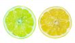 Fresh slice of Lemon