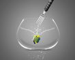 Fork catch angelfish in fishbowl 