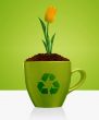 Ecological awareness concept