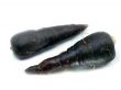 fresh black carrots 