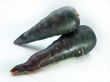 fresh black carrots 
