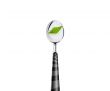 green leaf and spoon 