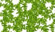 Green leaves