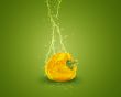 Fresh yellow bell pepper