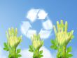 ecology concept