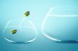 Anglefish in small fishbowl watching goldfish jump into large fi