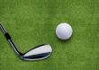 Golf ball and putter on green grass 